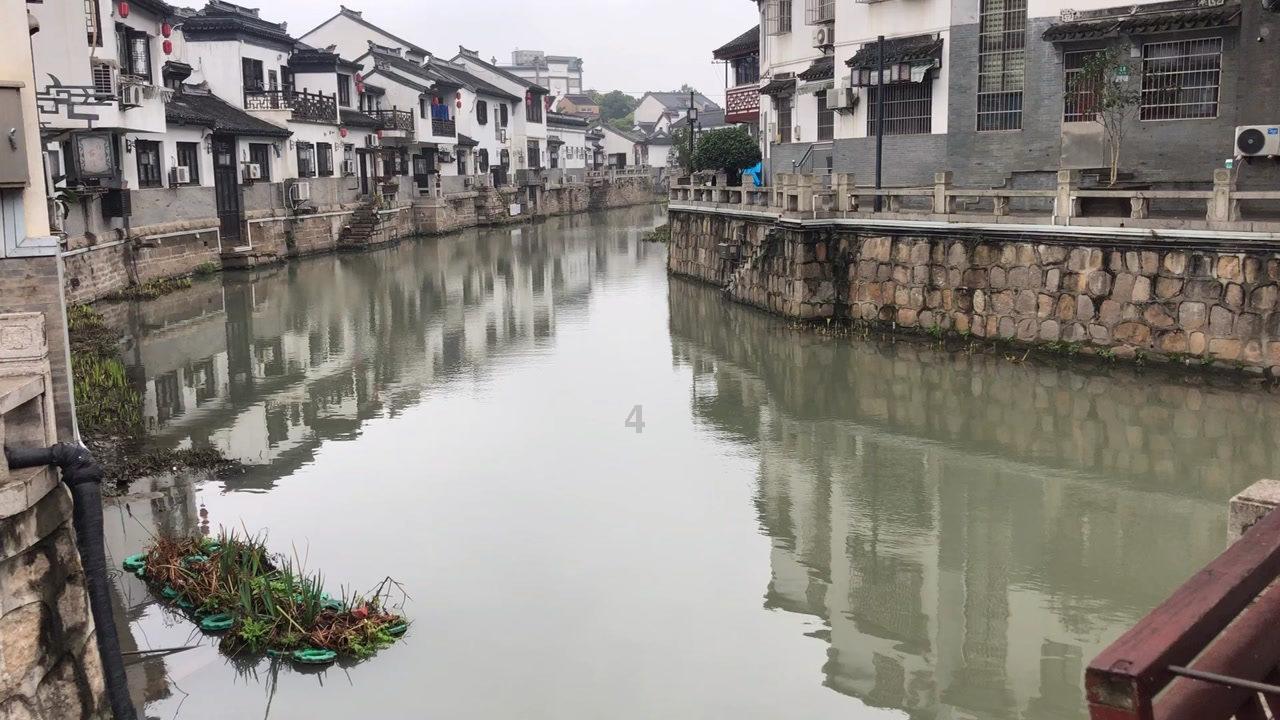 天谕手游
