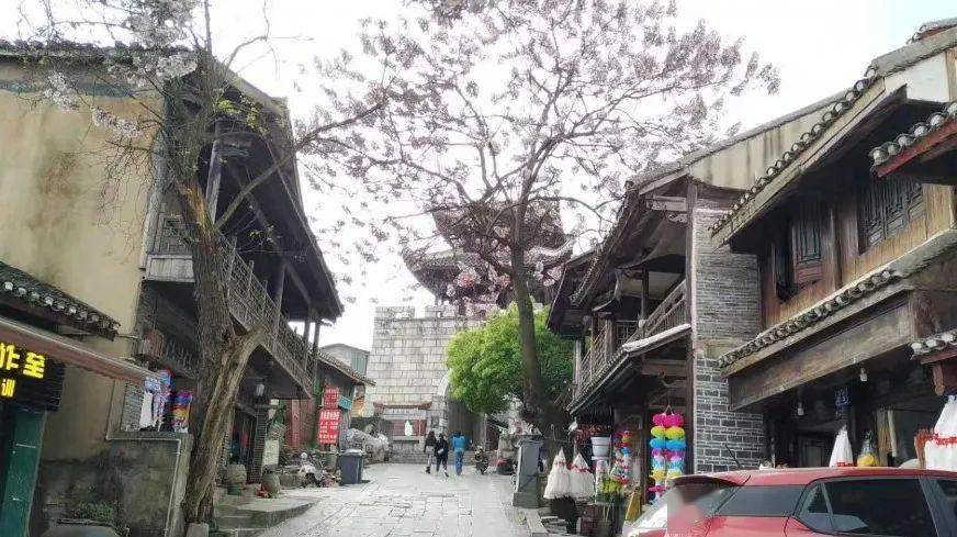 鲫鱼汤的做法