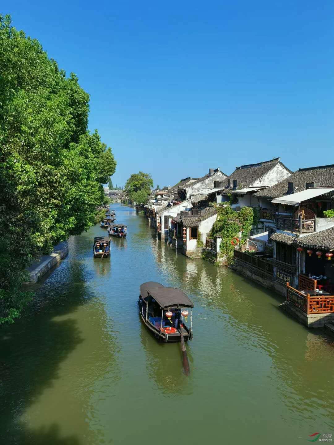 猪猪去冒险